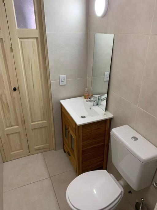 Apartment Encantador En Microcentro *