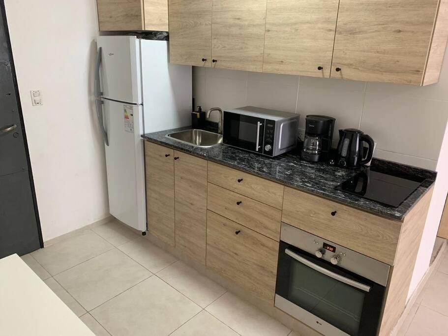 Apartment Encantador En Microcentro
